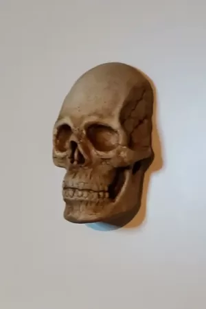 Catacomb skull magnet from the right on metal white background