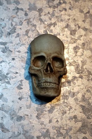 Human skull magnet 