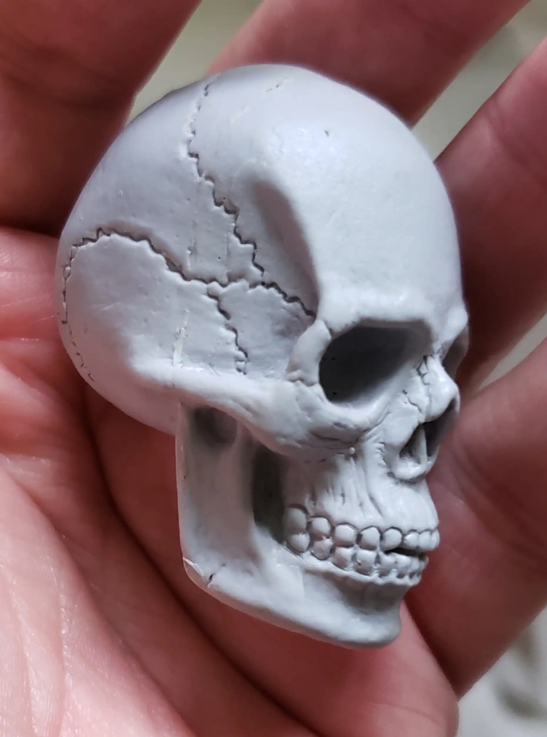 human male mini skull in hand right side