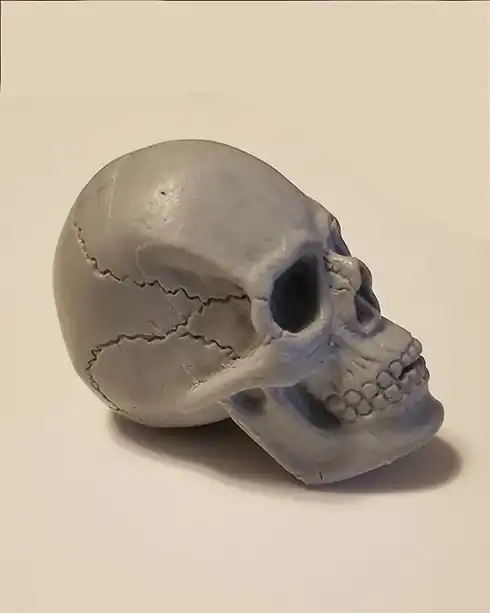 human male mini skull on table right side